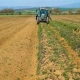 بحران خشکسالی و جنگ اوکراین: طرح دولت اسپانیا برای حمایت از کشاورزان