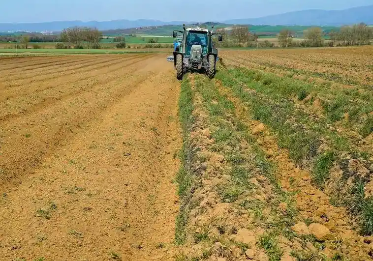 بحران خشکسالی و جنگ اوکراین: طرح دولت اسپانیا برای حمایت از کشاورزان